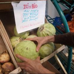 CONSO | La Coopalim : un supermarché associatif qui oeuvre pour et grâce à ses adhérents-bénév